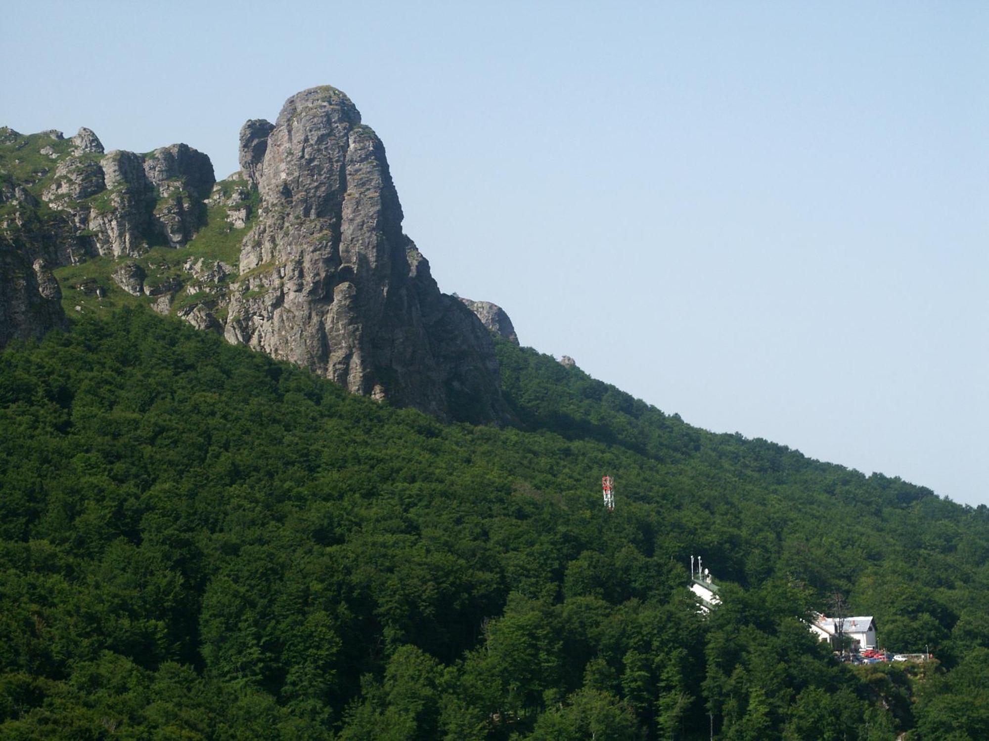 Hotel Stara Planina Custica Exterior foto